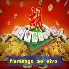 flamengo ao vivo multi tv